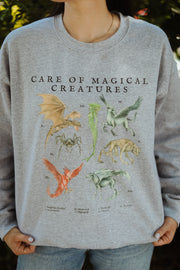 Care of Magical Creatures Crew