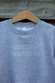 Toddler Mischief Crew